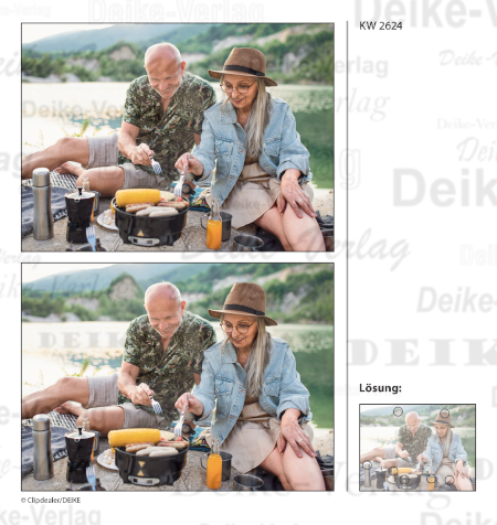 Grillen - Fehlerbilder KW 2624