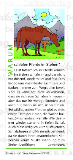 Warum schlafen Pferde im Stehen?