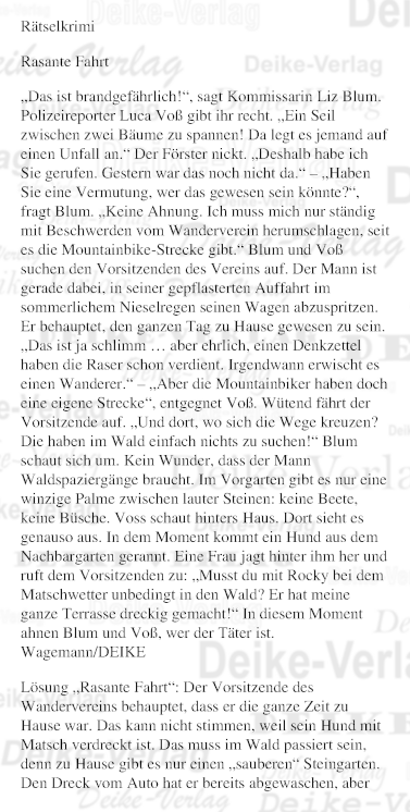 Rasante Fahrt - Rätselkrimi (Liz Blum)