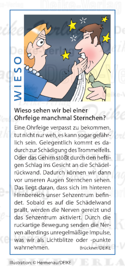 Wieso sehen wir nach einer Ohrfeige manchmal Sternchen?