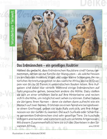 Das Erdmännchen – ein geselliges Raubtier