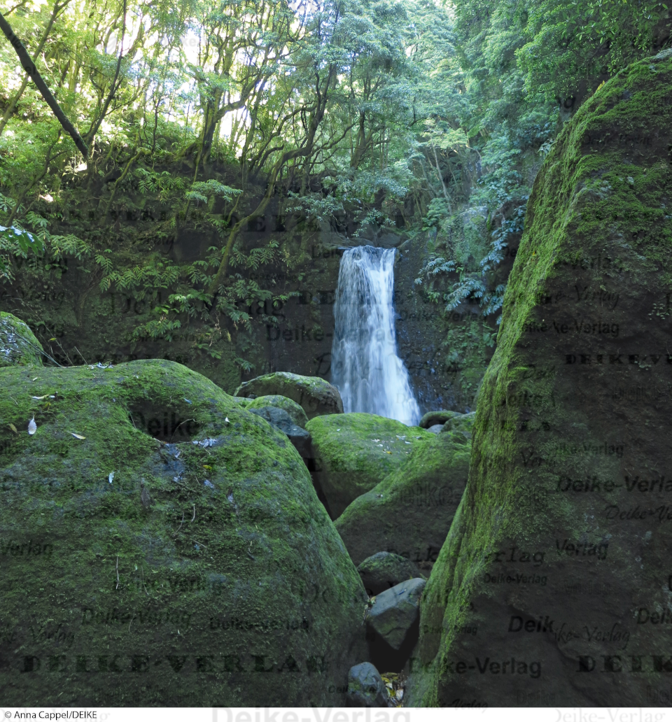 Wasserfall Azoren 