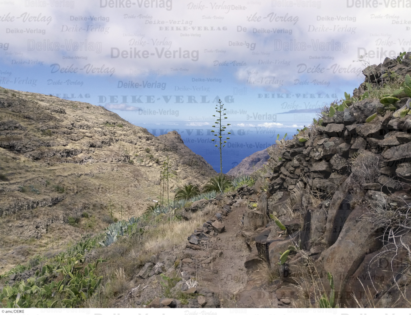 La Gomera 5  