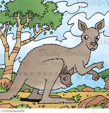 Känguru