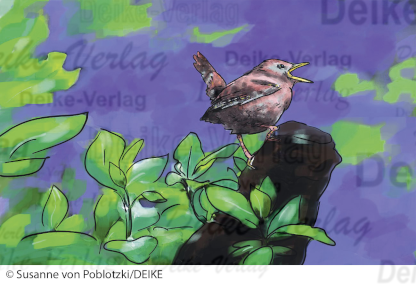 Der Zaunkönig