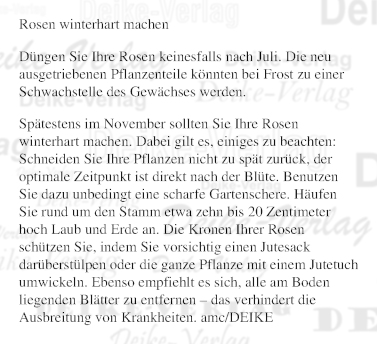 Winterharte Rosen