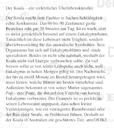 Der Koala