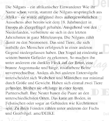 Die Nilgans – ein afrikanischer Einwanderer