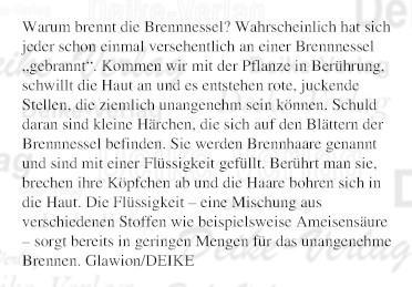 Warum brennt die Brennnessel?