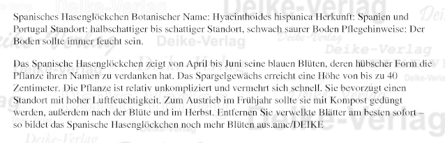 Garten und Pflanzen: Spanisches Hasenglöckchen
