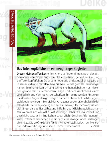 Das Totenkopfäffchen