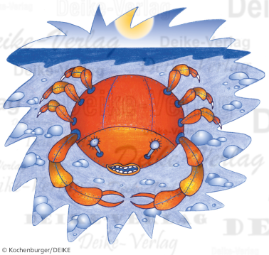 (16) Sternzeichen Krebs  