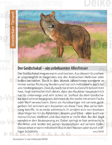 Der Goldschakal - ein altbekannter Allesfresser