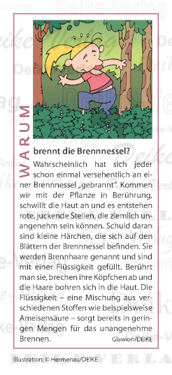 Warum brennt die Brennnessel?