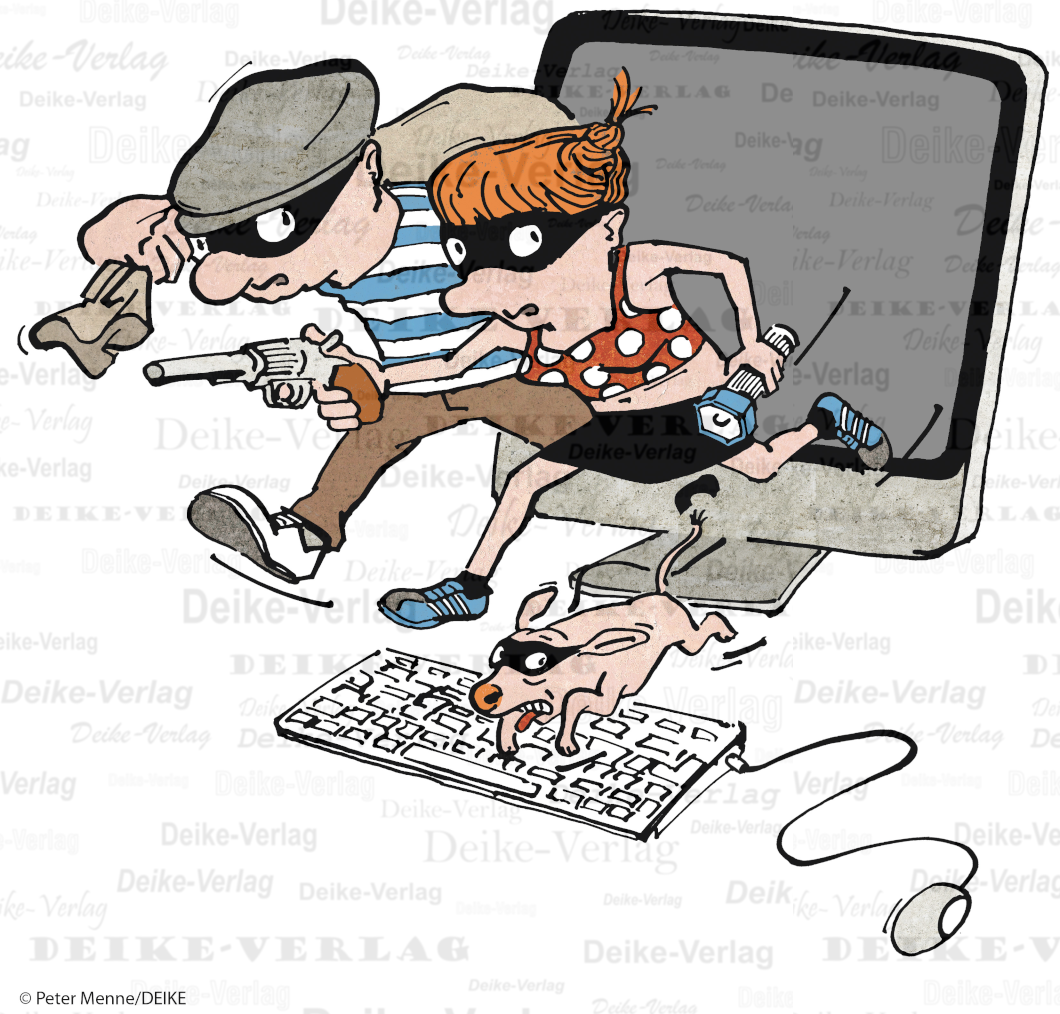 Diebe übers Internet 