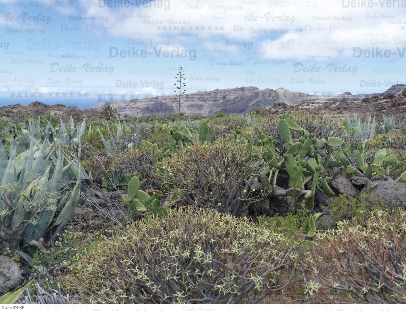 La Gomera 1 