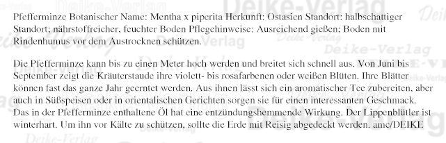 Pfefferminze