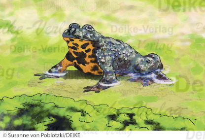 Die Unke