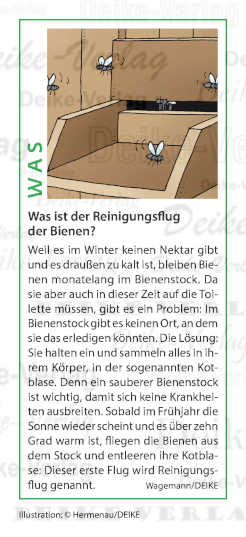 Was ist der Reinigungsflug der Bienen?