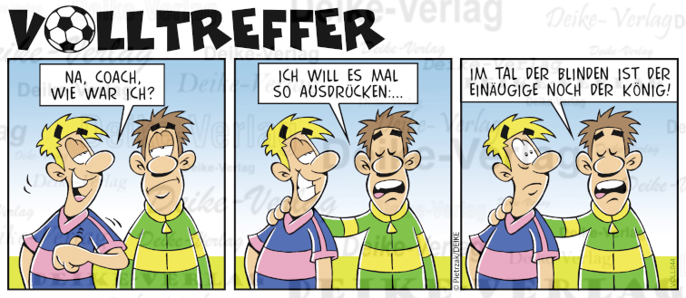 Im Tal der Blinden - Volltreffer