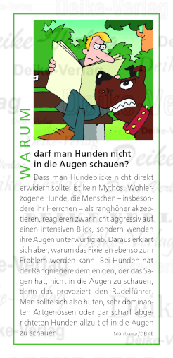 Warum darf man Hunden nicht in die Augen schauen?