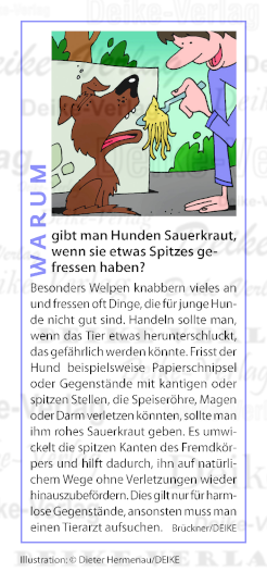 Warum gibt man Hunden Sauerkraut, wenn Sie etwas Spitzes gegessen haben? 