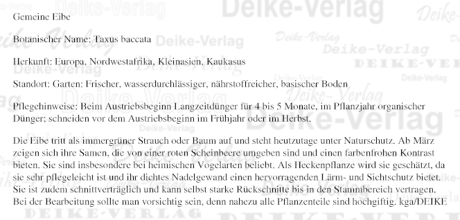 Garten & Pflanzen: Gemeine Eibe