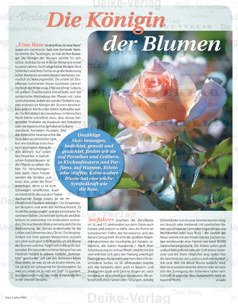 Die Königin der Blumen