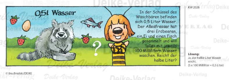 Waschbär - Irmi die Rätselbiene KW 2026