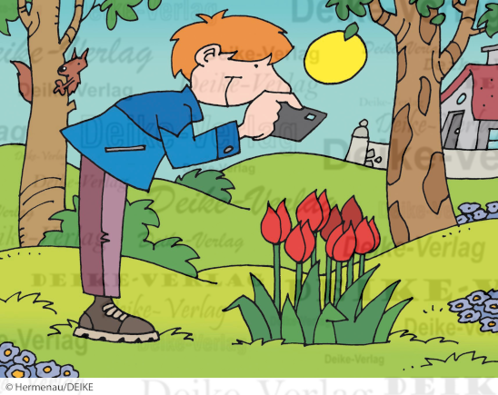 Tulpen fotografieren