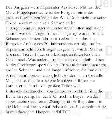 Der Bartgeier