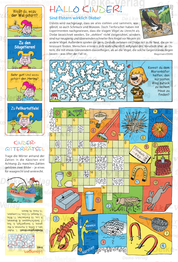 Hallo Kinder August 2024