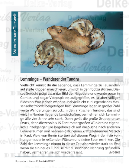 Lemminge – Wanderer der Tundra