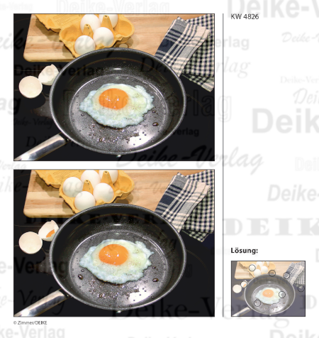 Spiegelei - Fehlerbilder KW 4826