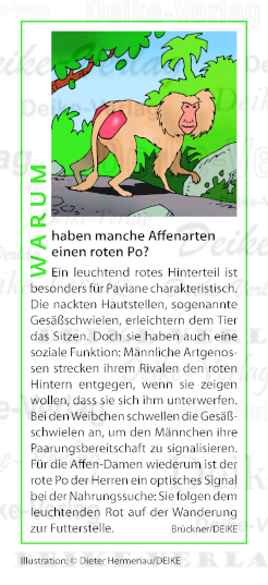 Warum haben manche Affenarten einen roten Po?