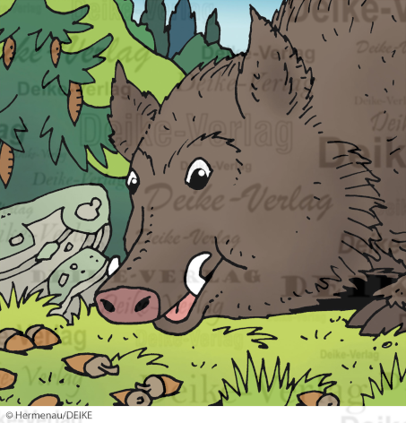 Wildschwein