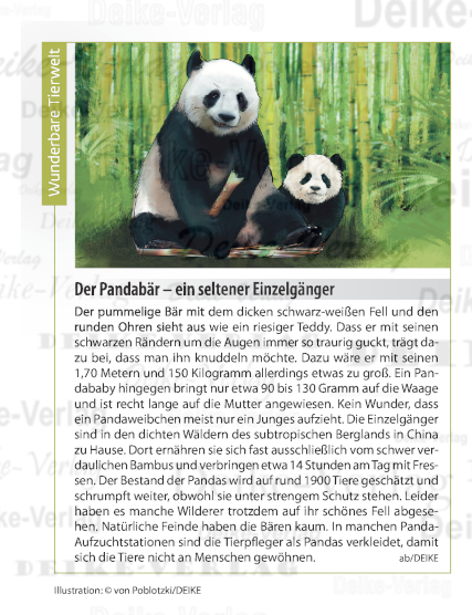 Der Pandabär – ein seltener Einzelgänger