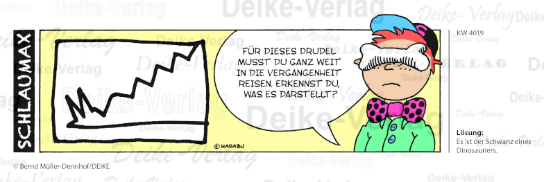 Drachen - Schlaumax KW 4019