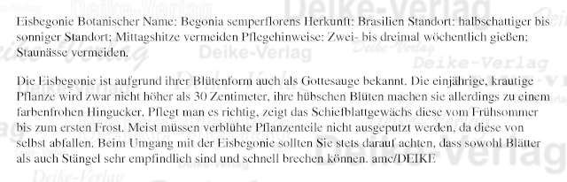 Garten und Pflanzen: Eisbegonie